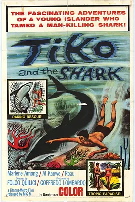 Tiko and the Shark