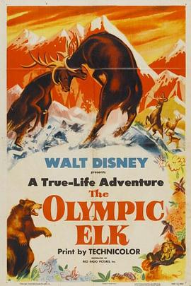 The Olympic Elk