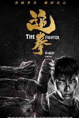 The Fighter