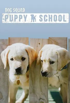 Dog Squad Puppy School Season 1