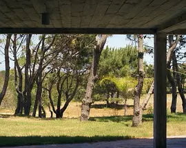 Casa Golly