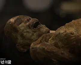 Dream of 400 Years (四百年的梦)