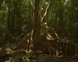 Jamojaya