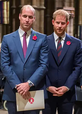 The Princes and the Press