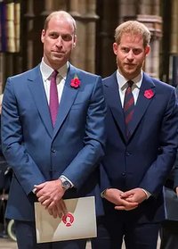 The Princes and the Press