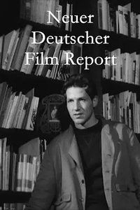 NDF-Report
