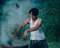 番茄田
