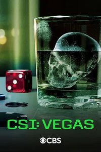 CSI: Vegas (犯罪现场调查：维加斯 第三季)