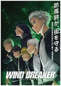 Wind Breaker (防风少年)