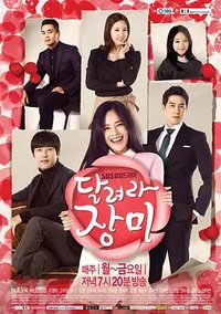 Run, Jang-mi (奔跑吧蔷薇)