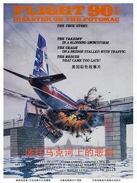 Flight 90: Disaster on the Potomac