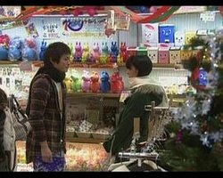 ブロッコリー