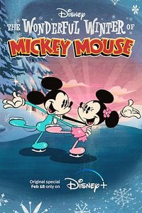 The Wonderful World of Mickey Mouse