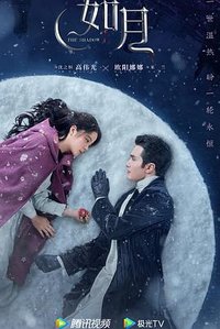 Snow Fall