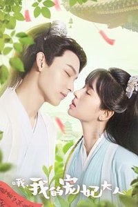 我的宠妃大人