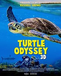 Turtle Odyssey