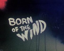 Born of the Wind