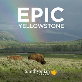 Epic Yellowstone