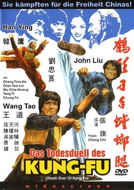 Death duel of kung fu
