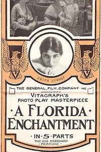 A Florida Enchantment