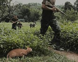 Comrade Poopy