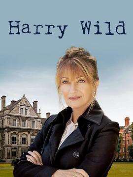 Harry Wild Season 1