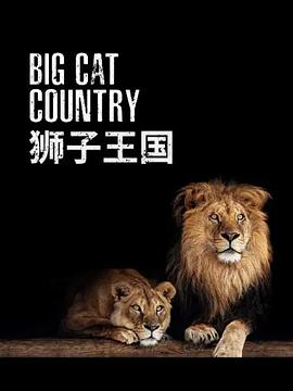 Big Cat Country