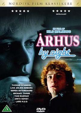 Århus by night