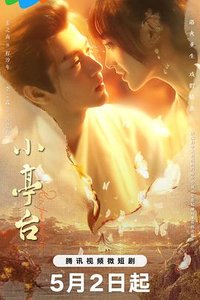 皇贵妃她向来有仇必报