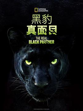 The Real Black Panther