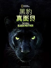 The Real Black Panther
