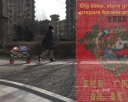 女男同性恋离婚记