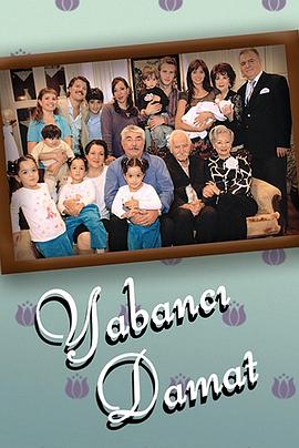 Borders of Love (Yabanci damat)