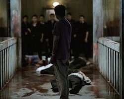 悲伤热带
