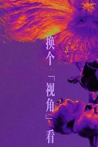 雾中迷案