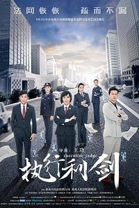 Executive Judge (执行法官)
