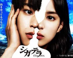 17岁青春遁走