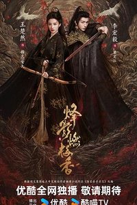 Hidden Shadow (大宋女刺客)