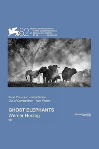 Ghosts of the Elephants