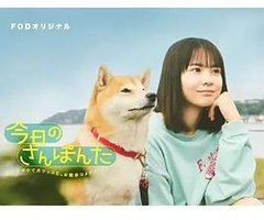 今日份的散步