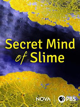 NOVA (The Secret Mind of Slime)