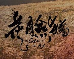 花臉貓
