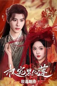 权宠黑心莲