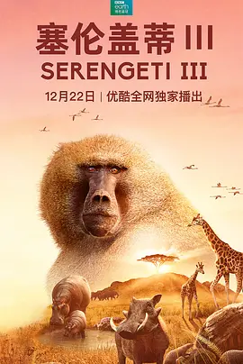Serengeti Season 3