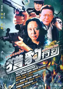 猎豹行动