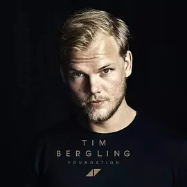 2019Avicii群星纪念音乐会