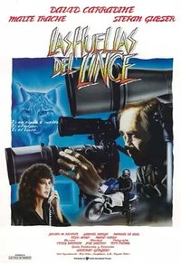 The Trace of Lynx
