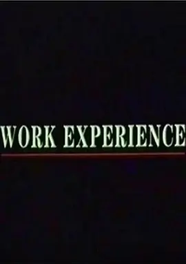 Work Experience