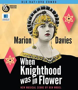 When Knighthood Was in Flower