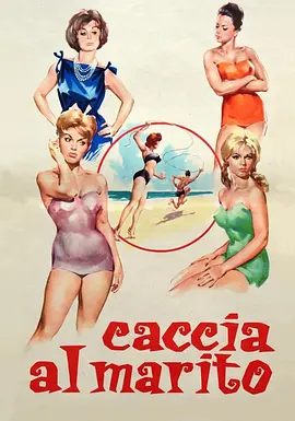 Caccia al marito